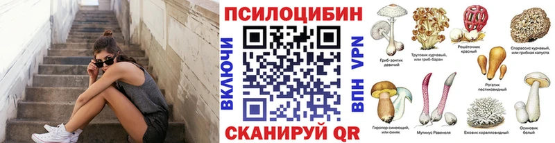 Псилоцибиновые грибы Magic Shrooms  Купить закладки  Кушва 