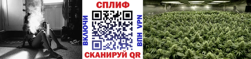 Конопля ГИДРОПОН  Купить где  Кушва 